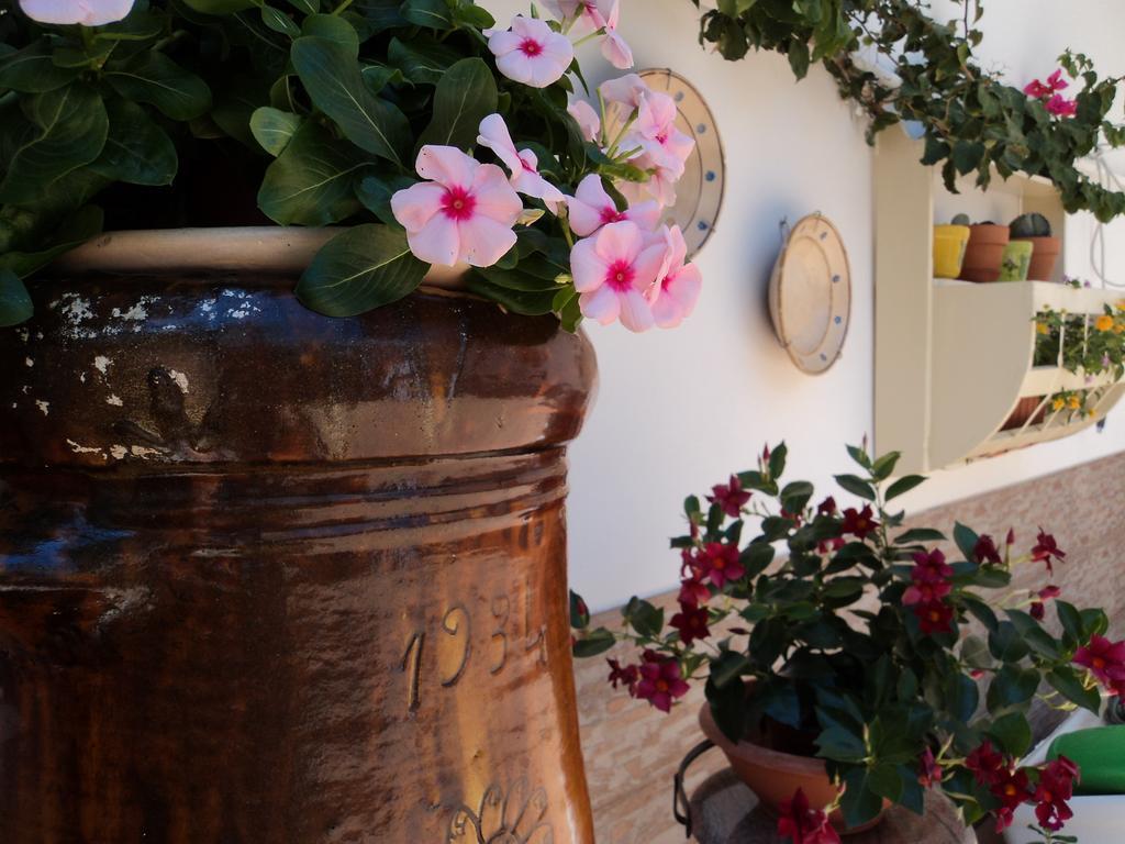 B&B Il Viandante Mesagne Exterior photo